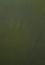 Elite Men Pure Cotton Plain - M Green - Image 3