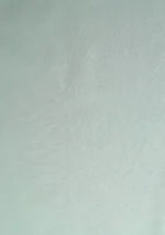 Elite Men Pure Cotton Plain - Sky - Image 3