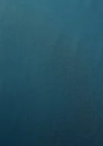 Elite Men Pure Cotton Plain - F Blue - Image 3